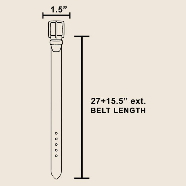 Seashell Disc Chain Belt - Gold