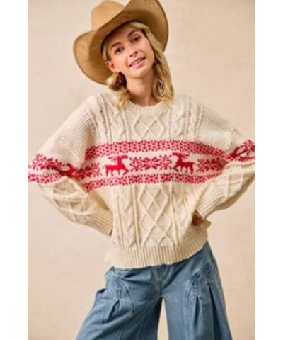 Let’s Go Sledding Sweater